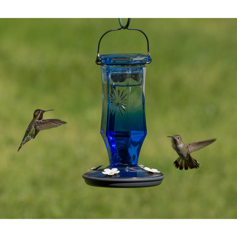 Arlmont & Co. Perky-Pet Starburst Vintage Glass Hummingbird Feeder